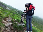 19 Un amico a quattro zampe chiede di unirsi a noi...